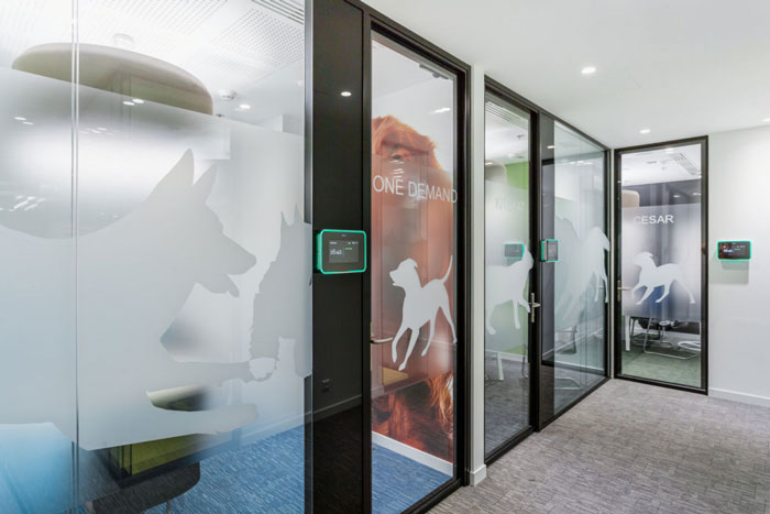 700平米寵物食品公司辦公室裝修設計